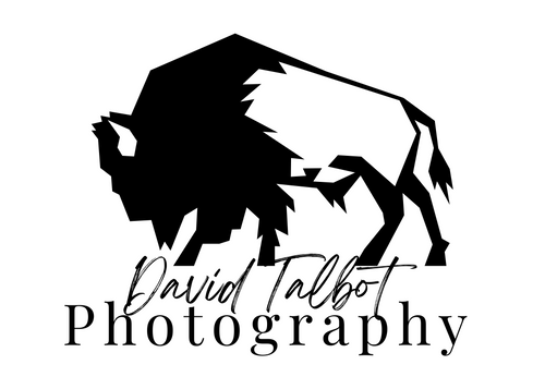 David Talbot Photography